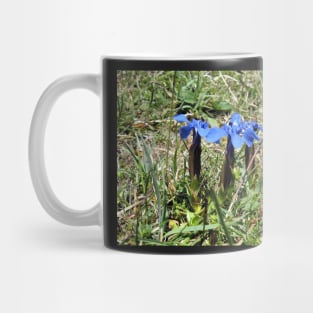 Spring Gentian in the Burren, Co. Clare, Ireland Mug